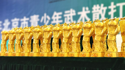 2025年北京市青少年武术散打●自由搏击比赛在国际安全防卫学院开赛(图6)